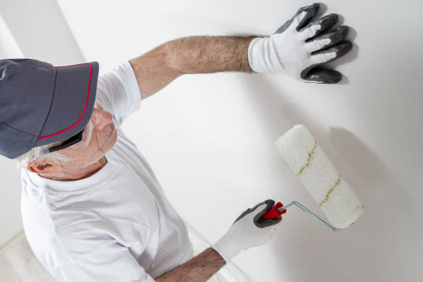 Best Industrial Mold Remediation  in Stonewood, WV